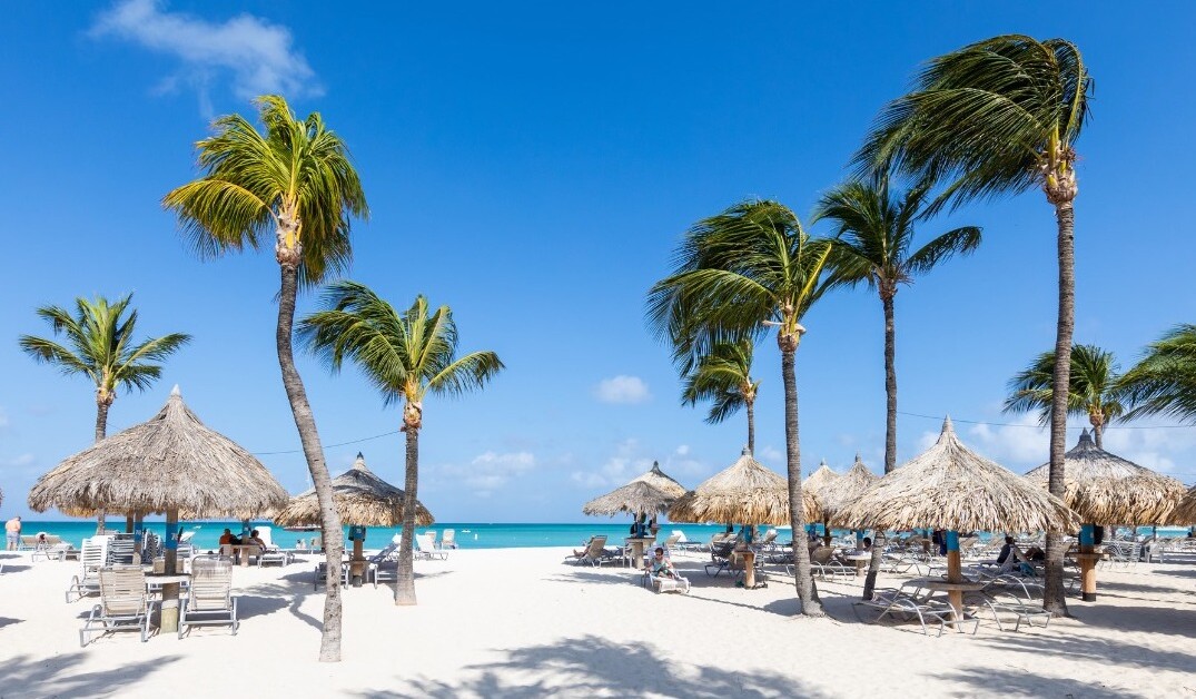 Hilton Aruba Caribbean Resort vs. Hyatt Regency Aruba Resort [2022]