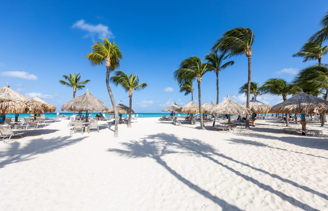 Hilton Aruba Caribbean Resort vs. Hyatt Regency Aruba Resort [2022]