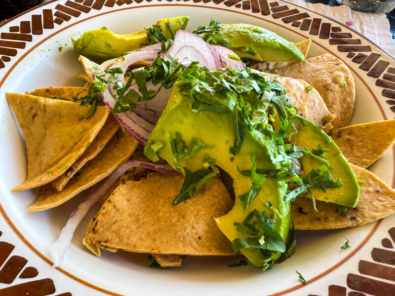 Alebrije chilaquiles