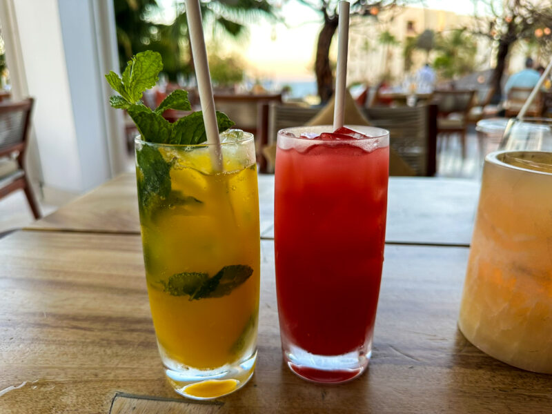 Arbol cocktails