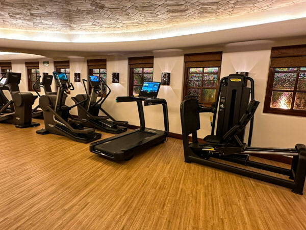 Las Ventanas al Paraiso gym machines (3)